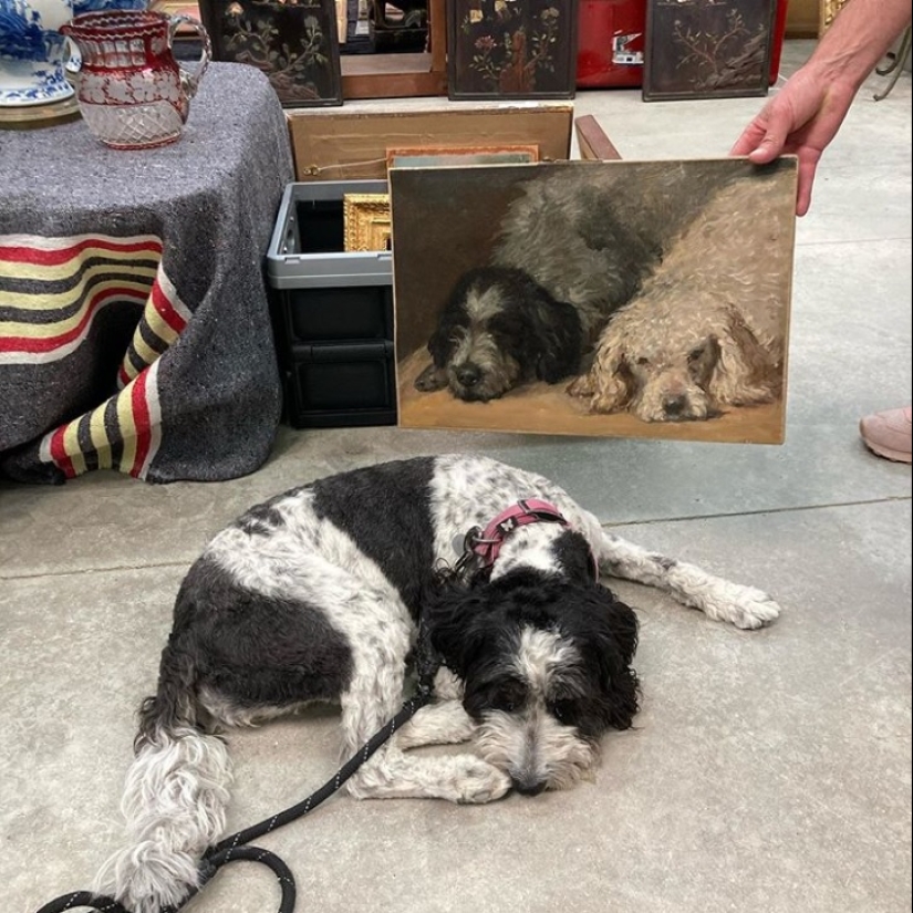 Are the accidents not random? 22 examples of cute coincidences that will amuse you Are the accidents not random? 22 examples of cute coincidences that will amuse you