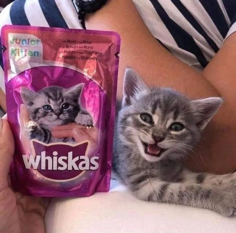 Are the accidents not random? 22 examples of cute coincidences that will amuse you Are the accidents not random? 22 examples of cute coincidences that will amuse you