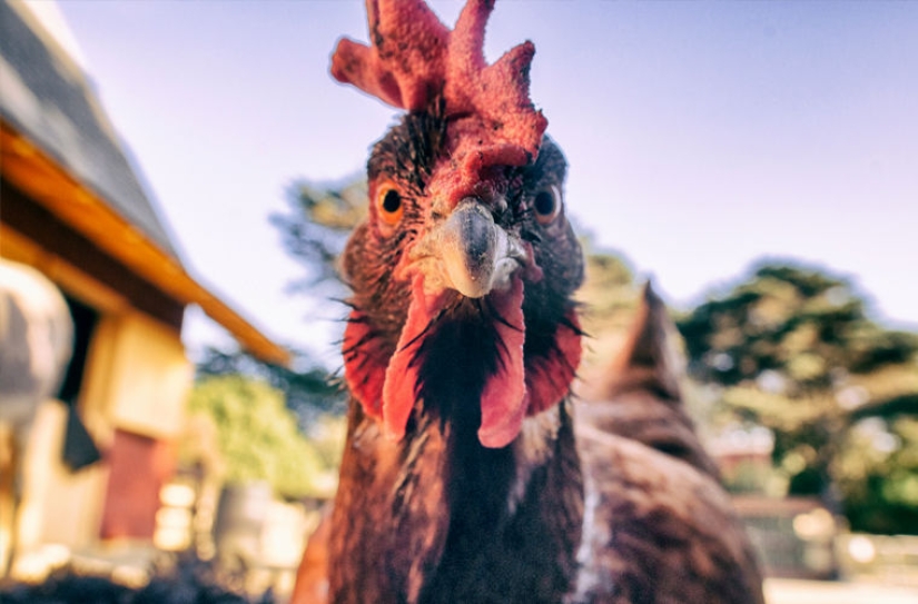 Are you going to Bulgaria? That's what you can't do in this country! Are you going to Bulgaria? That's what you can't do in this country!