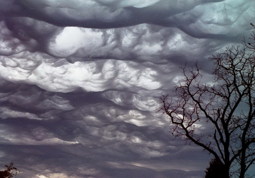 Asperatus - the scariest clouds Asperatus - the scariest clouds