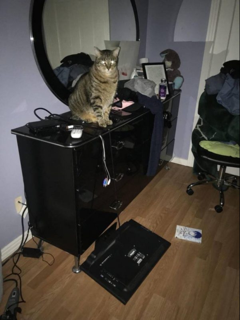 Bad day: photos of life's tragedies that can trap each