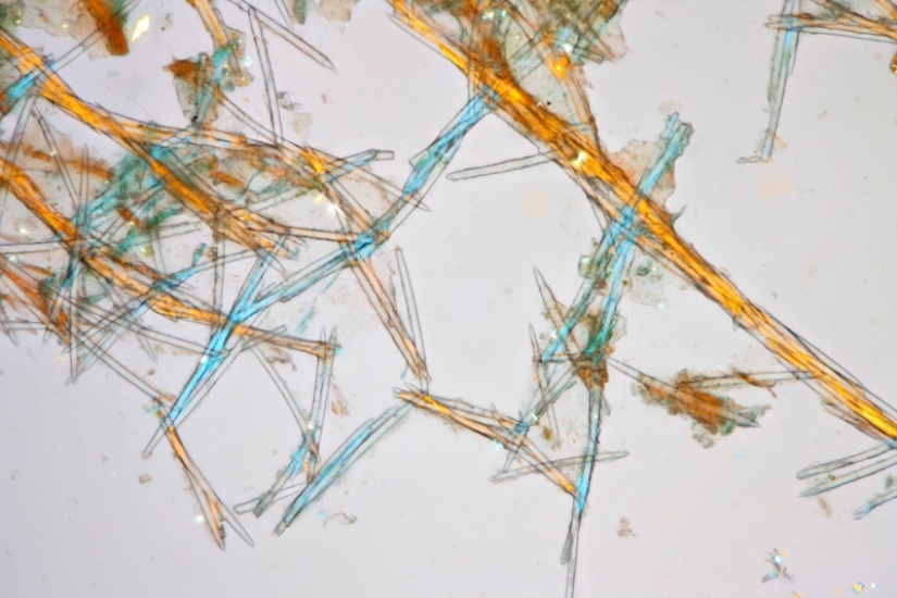 Badyaga: it saves you from bruising, and you don't even know it's not a plant