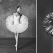 Bailarina y flores: una serie de fotos sobre la similitud de las dos de gracia