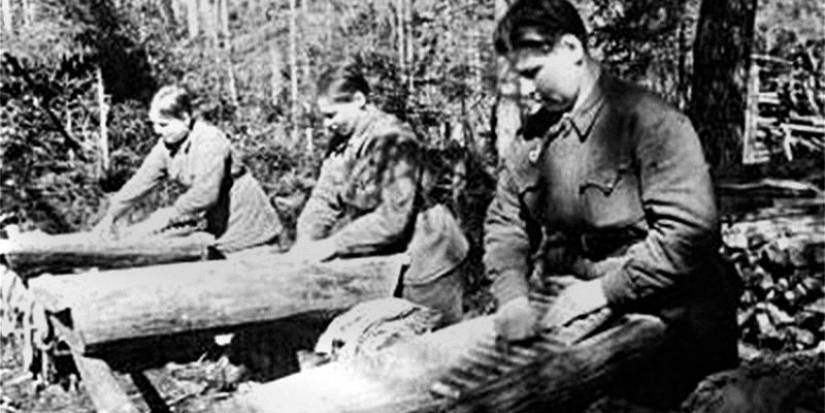 Bath and laundry factories — brothels or "purity factories" in which the Great Victory was forged? Bath and laundry factories — brothels or "purity factories" in which the Great Victory was forged?