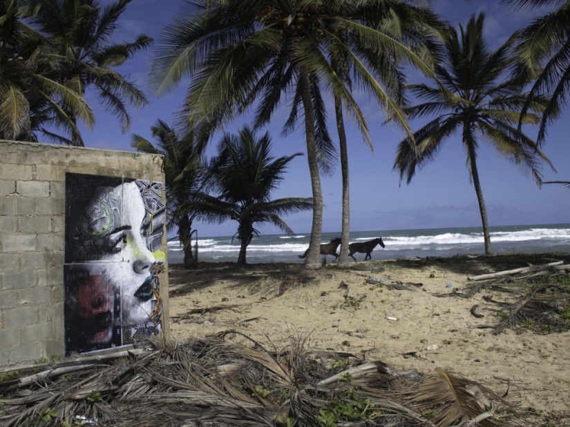 Belleza fugaz: retratos de mujeres en casas abandonadas Belleza fugaz: retratos de mujeres en casas abandonadas