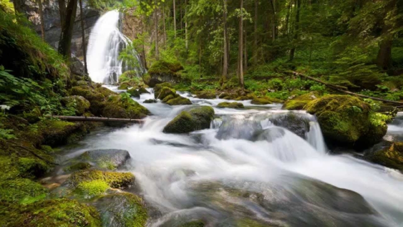 Best music for work according to scientists: sounds of nature, violin and LJ Best music for work according to scientists: sounds of nature, violin and LJ