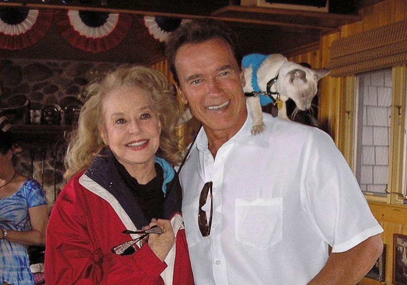 Betty Brosmer es la dueña de la figura más hermosa de los años 50 Betty Brosmer es la dueña de la figura más hermosa de los años 50