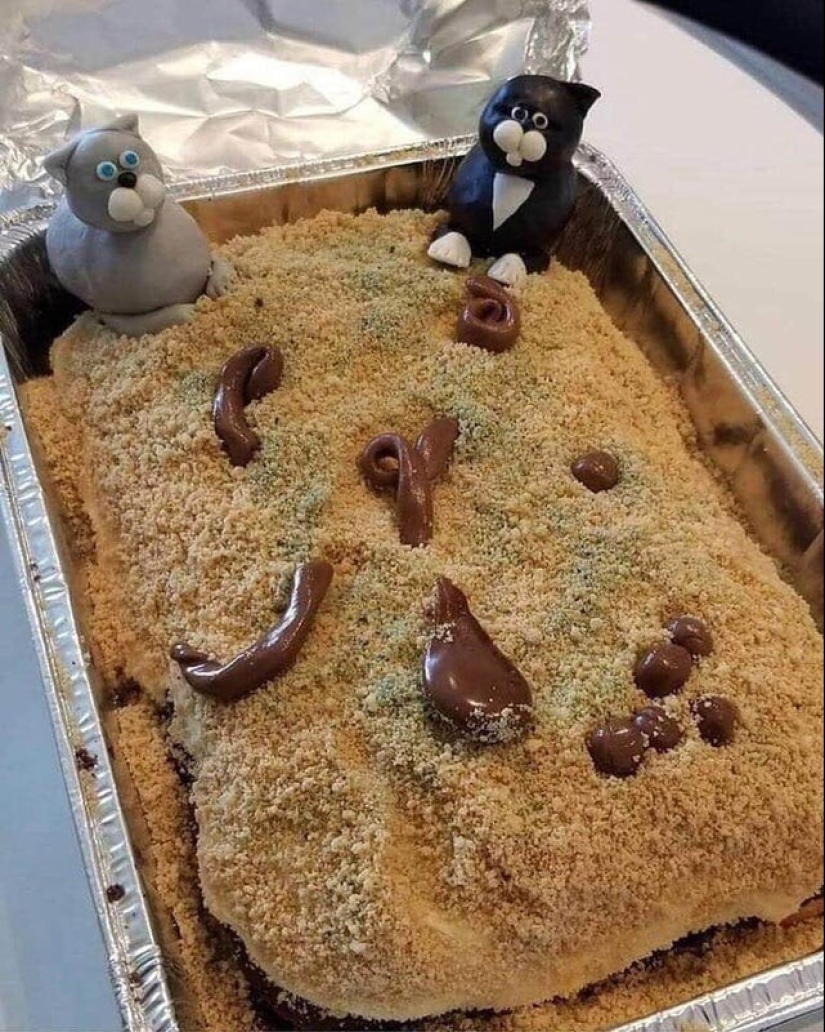 Blast my eyes! 15 tasteless things, the sobriety of which makes you want to cry Blast my eyes! 15 tasteless things, the sobriety of which makes you want to cry