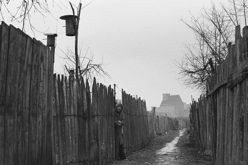 Boris Register: Favorite picture. The photographer's story Boris Register: Favorite picture. The photographer's story