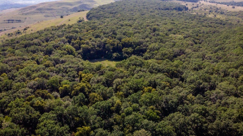 Bosque de Hoia Baciu: por qué este lugar tiene fama de “Triángulo de las Bermudas rumanas”