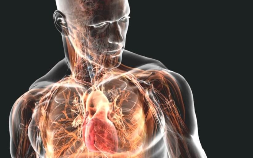 Brain shrinkage and 4 more proofs that Man continues to evolve