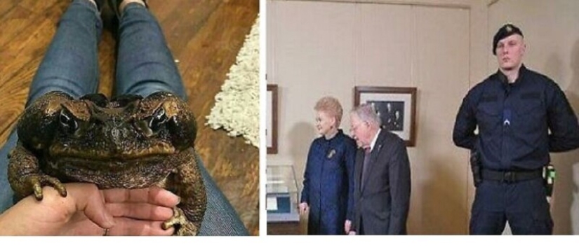 Bueno, ¡qué increíble! 35 gigantes de nuestro mundo Bueno, ¡qué increíble! 35 gigantes de nuestro mundo