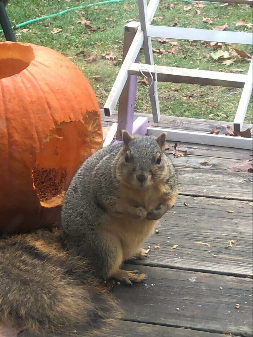 Bueno, ¡qué increíble! 35 gigantes de nuestro mundo Bueno, ¡qué increíble! 35 gigantes de nuestro mundo