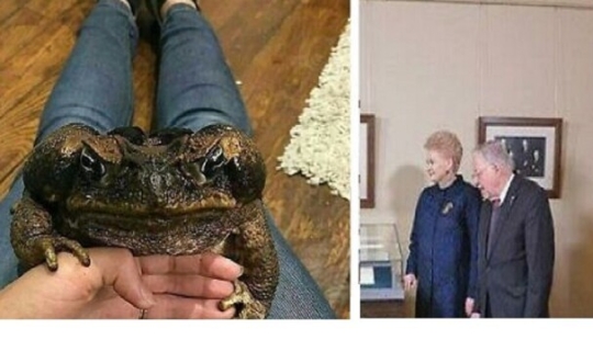 Bueno, ¡qué increíble! 35 gigantes de nuestro mundo Bueno, ¡qué increíble! 35 gigantes de nuestro mundo