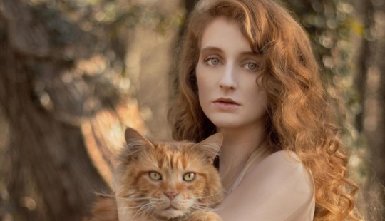 Bueno y esponjoso: el estudio demuestra que el gato de la señora no es sola histérica