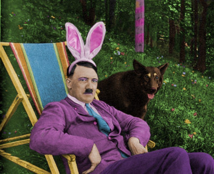 Bunny, kitty, de la miel: cortas y la lengua en la mejilla de referencia elogios Bunny, kitty, de la miel: cortas y la lengua en la mejilla de referencia elogios