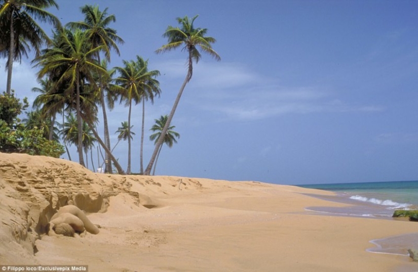 Busca a una mujer: las modelos desnudas se mezclan con el paisaje Busca a una mujer: las modelos desnudas se mezclan con el paisaje