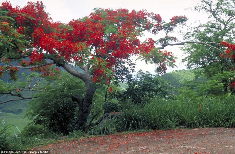Busca a una mujer: las modelos desnudas se mezclan con el paisaje Busca a una mujer: las modelos desnudas se mezclan con el paisaje