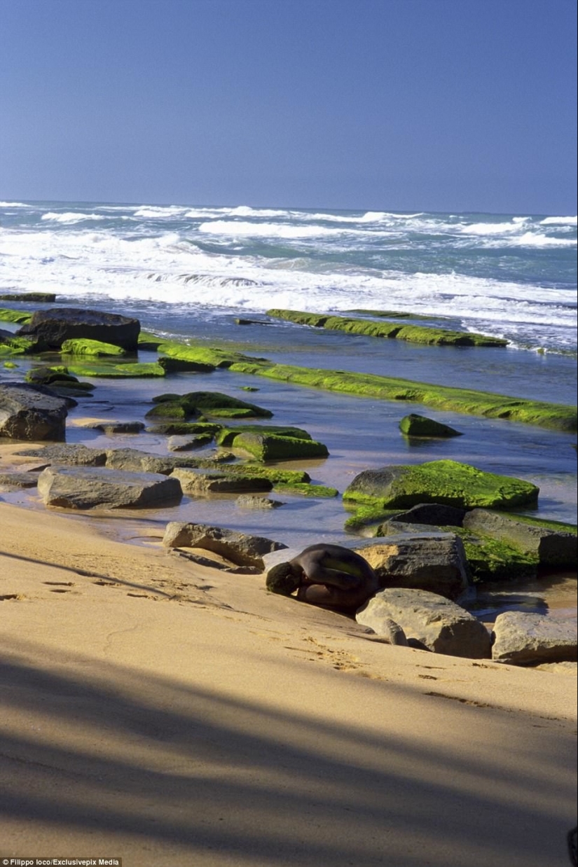 Busca a una mujer: las modelos desnudas se mezclan con el paisaje Busca a una mujer: las modelos desnudas se mezclan con el paisaje