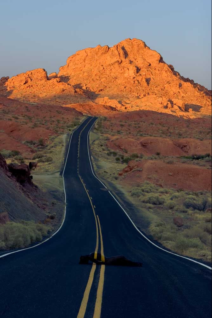 Busca a una mujer: las modelos desnudas se mezclan con el paisaje Busca a una mujer: las modelos desnudas se mezclan con el paisaje