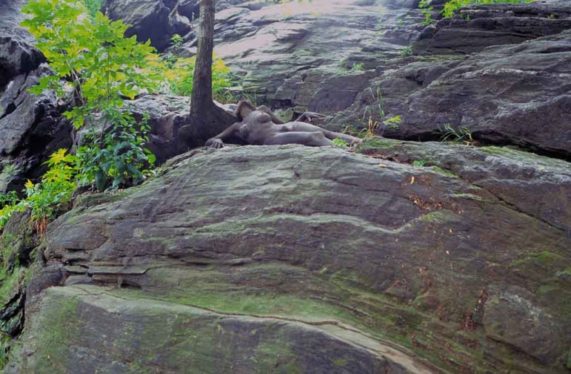 Busca a una mujer: las modelos desnudas se mezclan con el paisaje Busca a una mujer: las modelos desnudas se mezclan con el paisaje