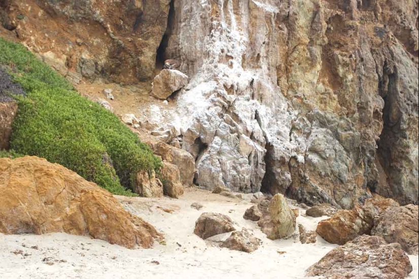 Busca a una mujer: las modelos desnudas se mezclan con el paisaje Busca a una mujer: las modelos desnudas se mezclan con el paisaje