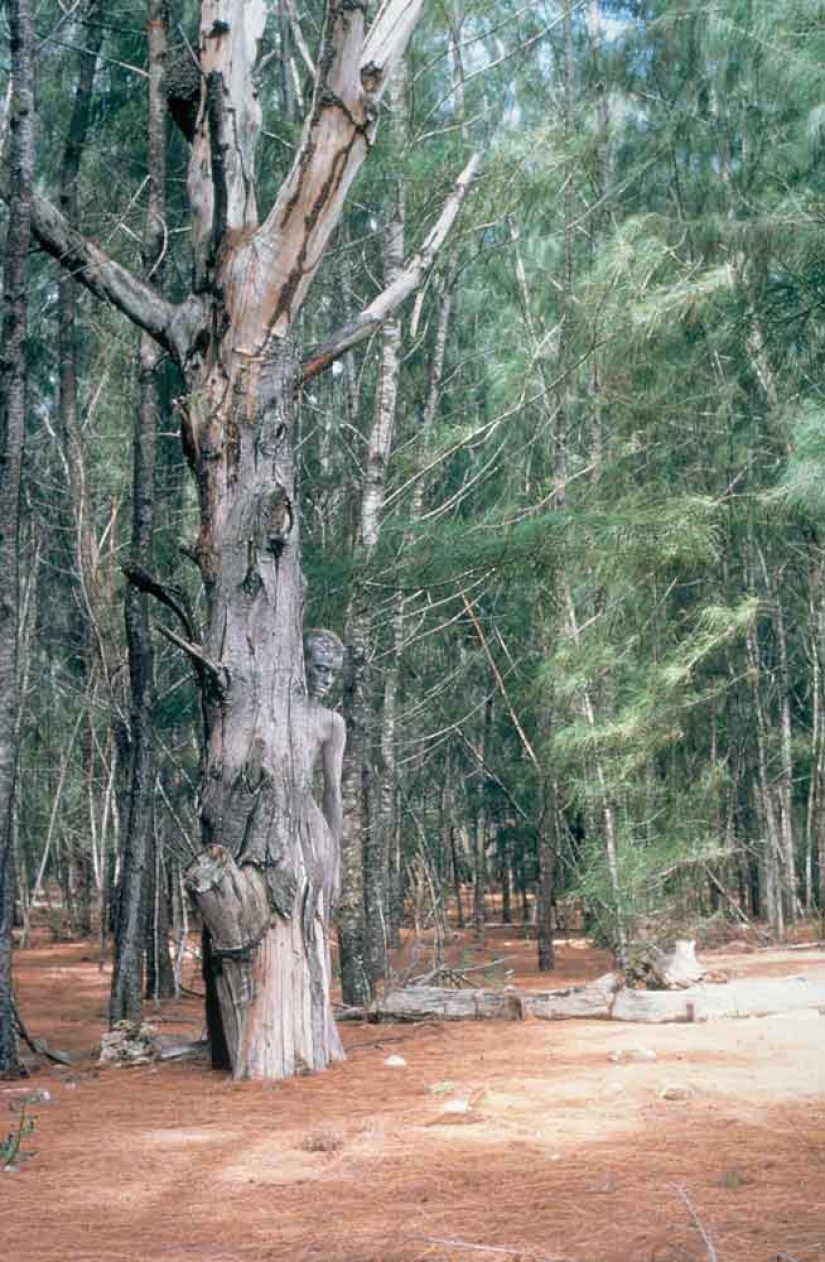 Busca a una mujer: las modelos desnudas se mezclan con el paisaje Busca a una mujer: las modelos desnudas se mezclan con el paisaje