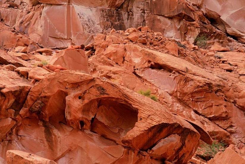 Busca a una mujer: las modelos desnudas se mezclan con el paisaje Busca a una mujer: las modelos desnudas se mezclan con el paisaje