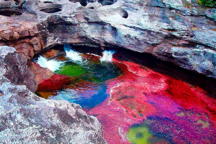 Canio Cristales — the most beautiful river on Earth Canio Cristales — the most beautiful river on Earth