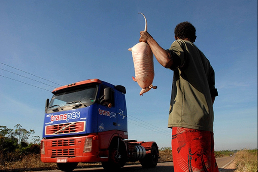 Carroñeros de dos patas: una nueva tendencia gastronómica ha surgido en el mundo Carroñeros de dos patas: una nueva tendencia gastronómica ha surgido en el mundo