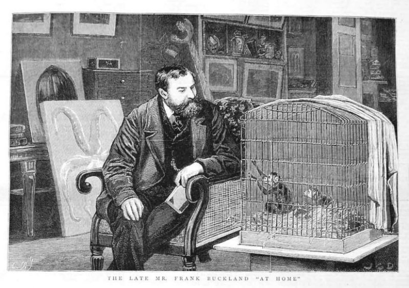 Carroñeros de dos patas: una nueva tendencia gastronómica ha surgido en el mundo Carroñeros de dos patas: una nueva tendencia gastronómica ha surgido en el mundo