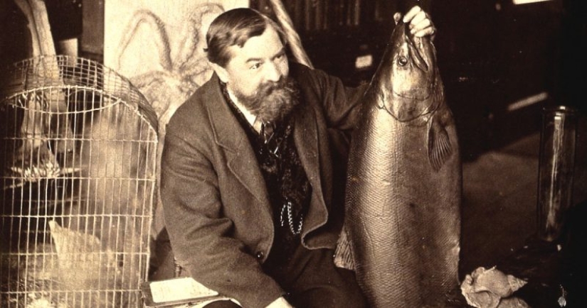 Carroñeros de dos patas: una nueva tendencia gastronómica ha surgido en el mundo Carroñeros de dos patas: una nueva tendencia gastronómica ha surgido en el mundo