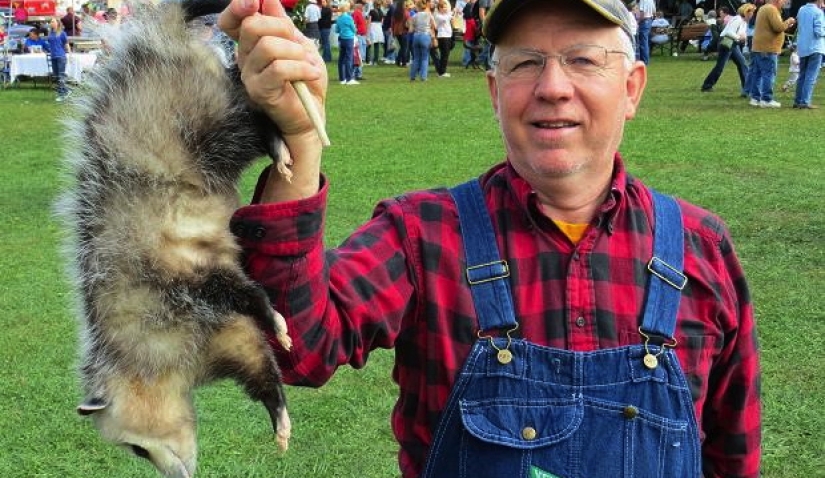 Carroñeros de dos patas: una nueva tendencia gastronómica ha surgido en el mundo Carroñeros de dos patas: una nueva tendencia gastronómica ha surgido en el mundo