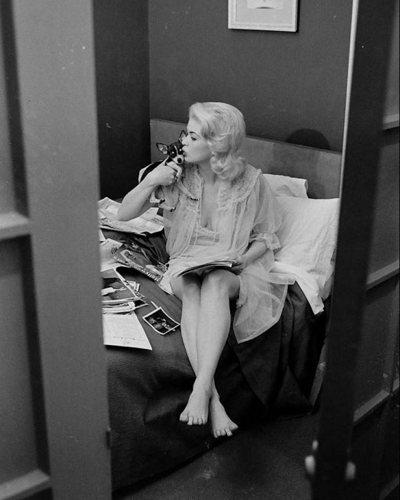 Celebridades con sus mascotas de cuatro patas