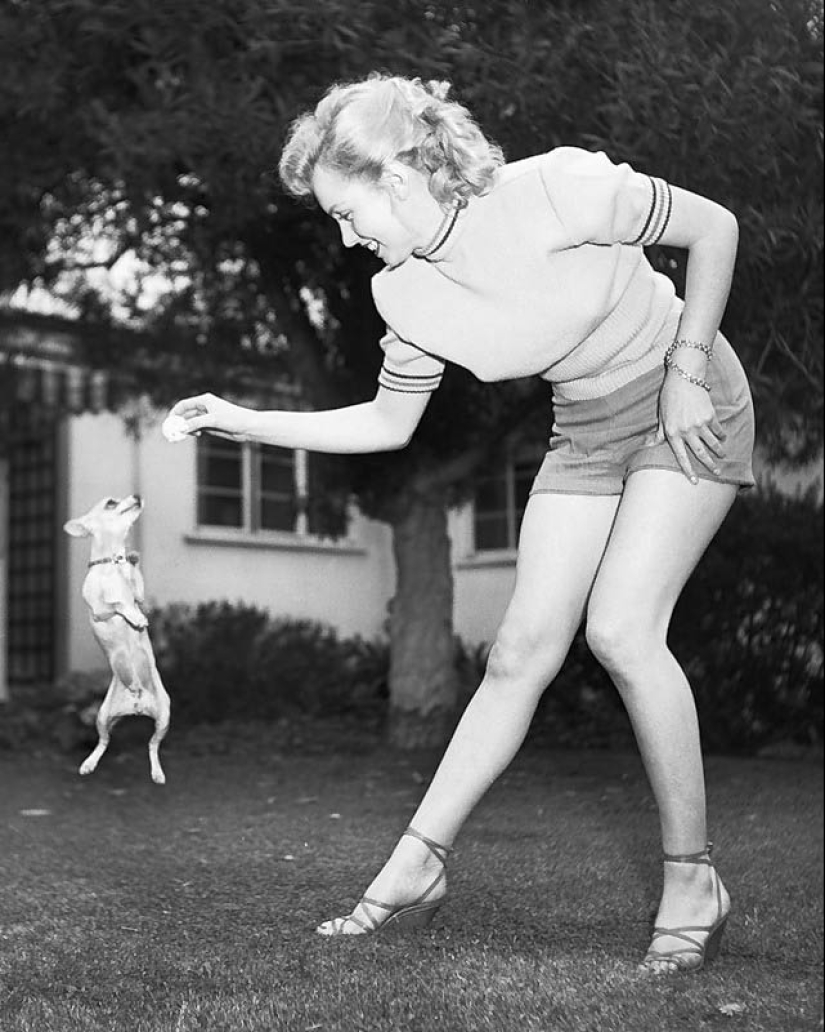 Celebridades con sus mascotas de cuatro patas