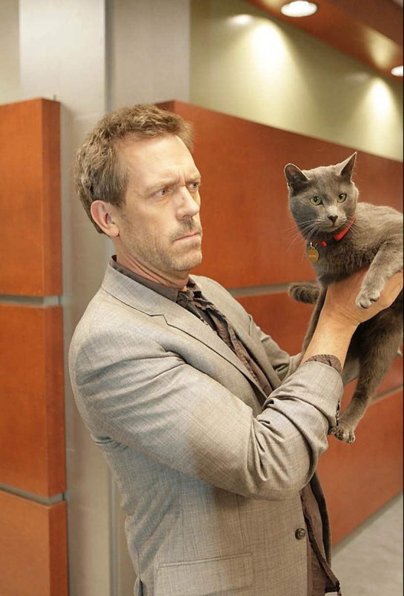 Celebridades con sus mascotas de cuatro patas