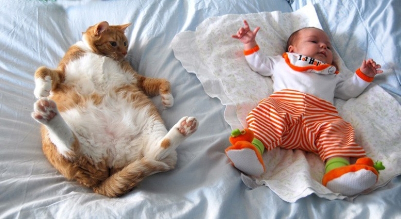 Charming photos proving that your child needs a cat