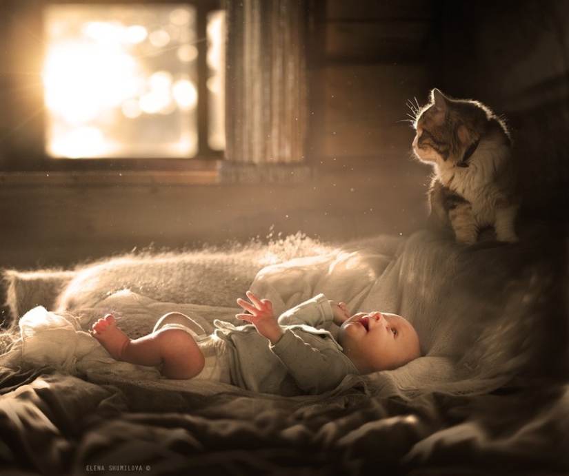 Charming photos proving that your child needs a cat