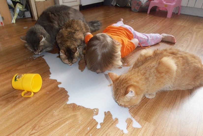 Charming photos proving that your child needs a cat