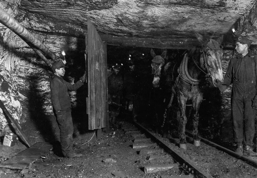 Child labor in twentieth-century America: photographs of children in coal and zinc mines