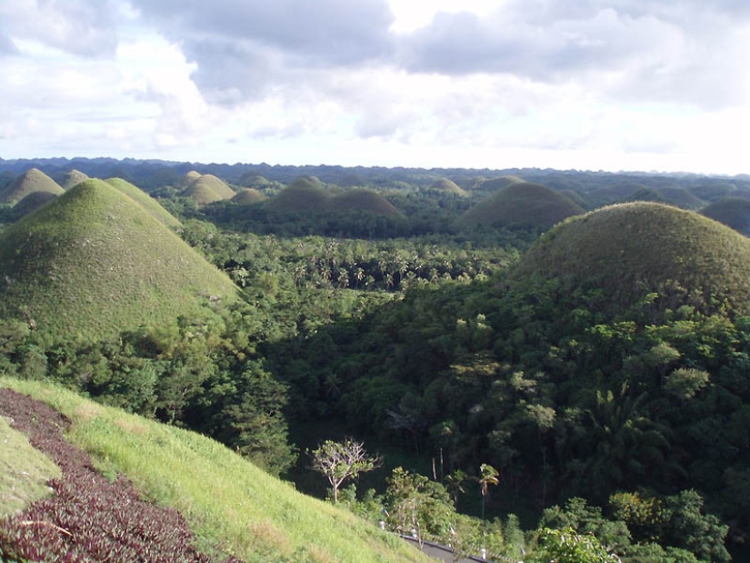 Chocolate Hills of Bohol Island