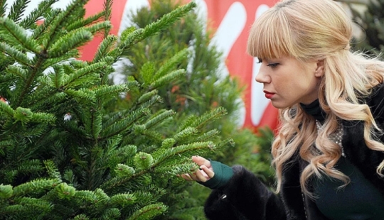 Christmas life hacks: 4 ways to use pine needles showered