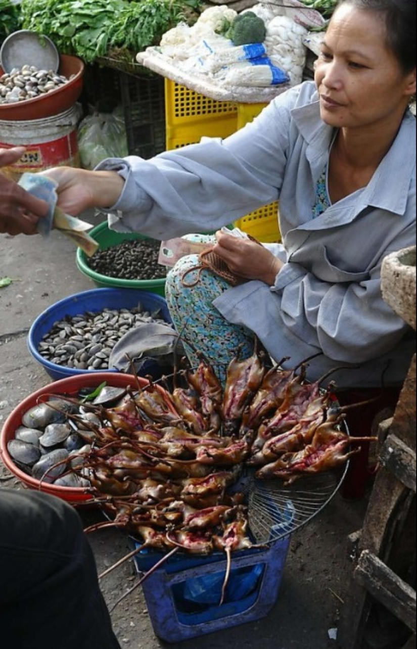 "Ciervo doméstico" o cómo los platos de rata se convirtieron en parte de la gastronomía nacional en diferentes partes del mundo
