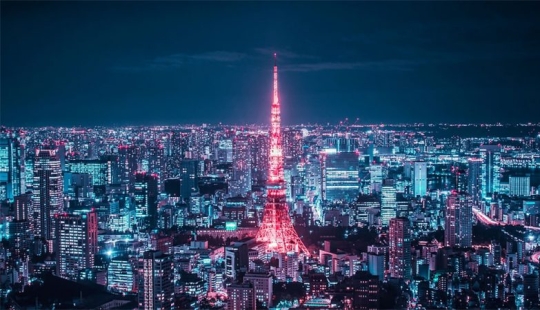 City of lights: 15 stunning pictures of Tokyo at night from a height of skyscrapers