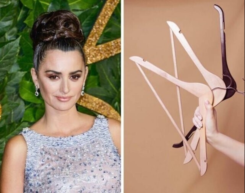 Claudia Schiffer's Insect Collection and 14 more secret celebrity hobbies Claudia Schiffer's Insect Collection and 14 more secret celebrity hobbies