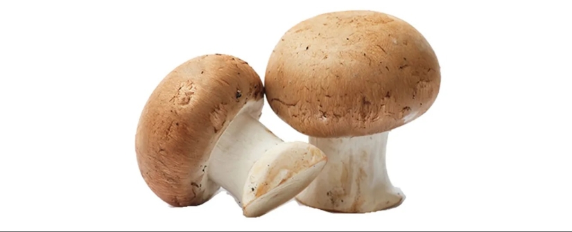 Cómo activar Olivier en una obra maestra: 6 ingredientes secretos