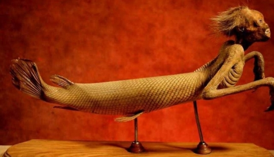 Cómo apareció el culto a las sirenas "ningyo" en Japón y por qué sus momias son tan valoradas