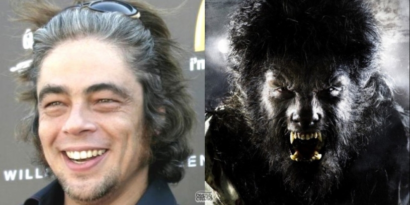 Cómo cambiar de carrera o ganar 15 kilogramos en pocas horas Cómo cambiar de carrera o ganar 15 kilogramos en pocas horas