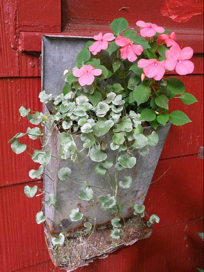 Cómo crear un macizo de flores hermoso e inusual a partir de materiales improvisados: 20 ejemplos Cómo crear un macizo de flores hermoso e inusual a partir de materiales improvisados: 20 ejemplos