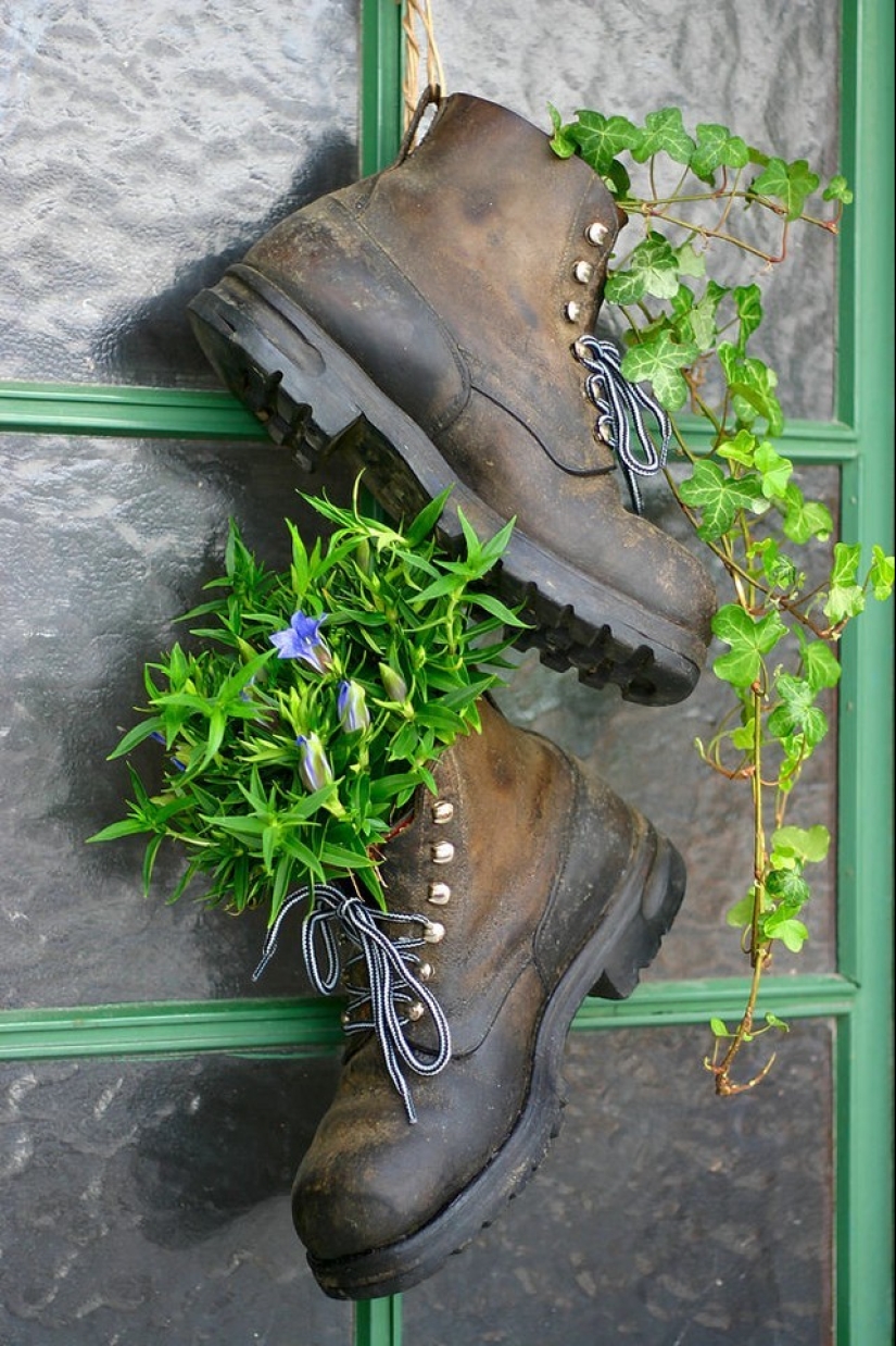 Cómo crear un macizo de flores hermoso e inusual a partir de materiales improvisados: 20 ejemplos Cómo crear un macizo de flores hermoso e inusual a partir de materiales improvisados: 20 ejemplos